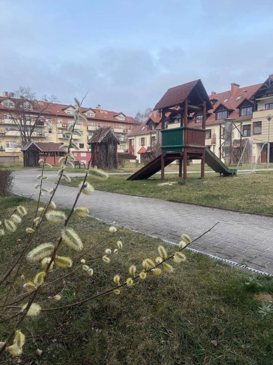 Mieszkanie 2 pokojowe na Wynajem