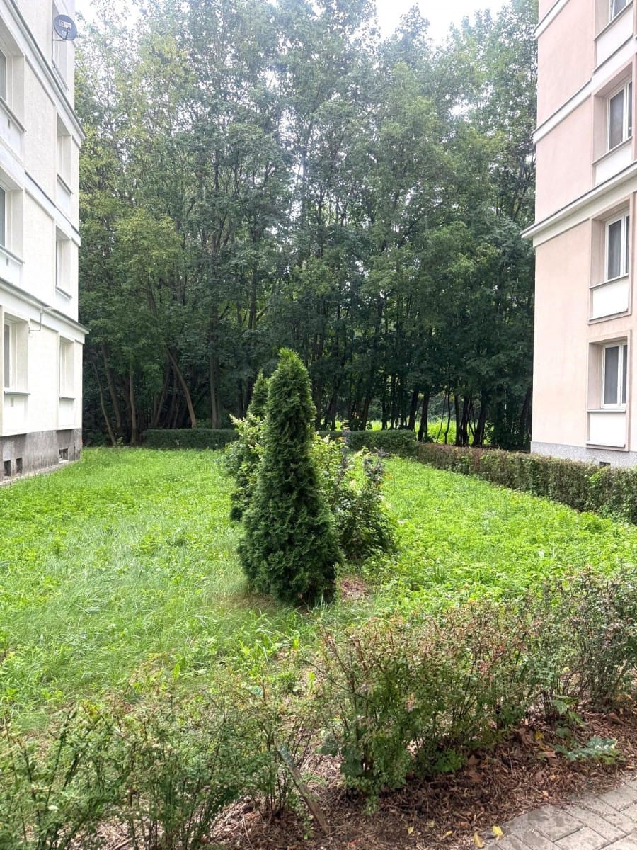 Mieszkanie 3 pokojowe na Wynajem
