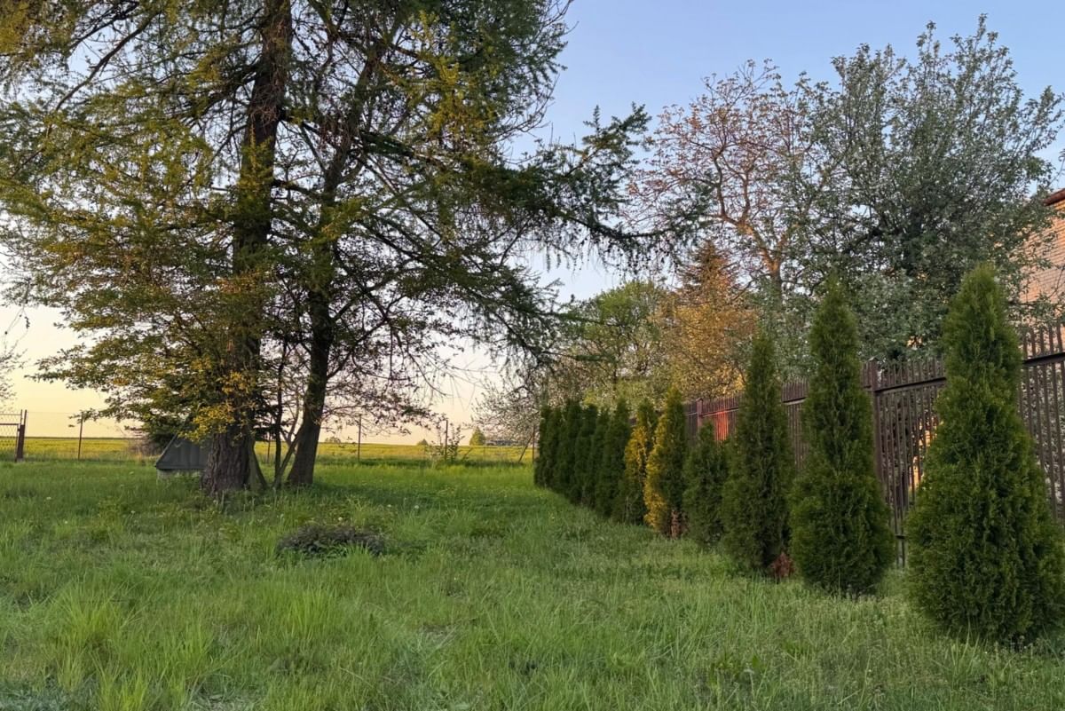 Dom 4 pokojowe na Sprzedaż