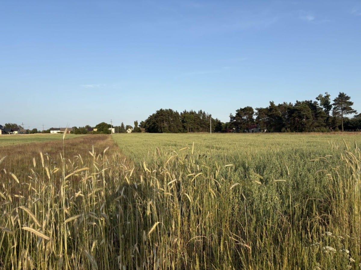 Działka  pokojowe na Sprzedaż