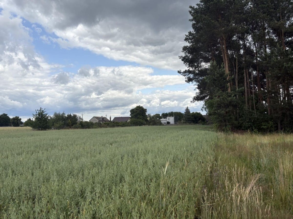 Działka  pokojowe na Sprzedaż