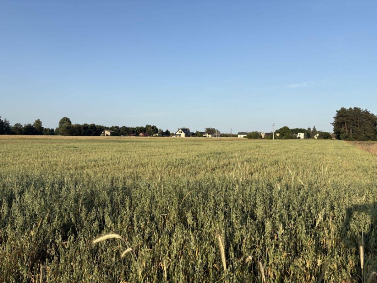 Działka  pokojowe na Sprzedaż