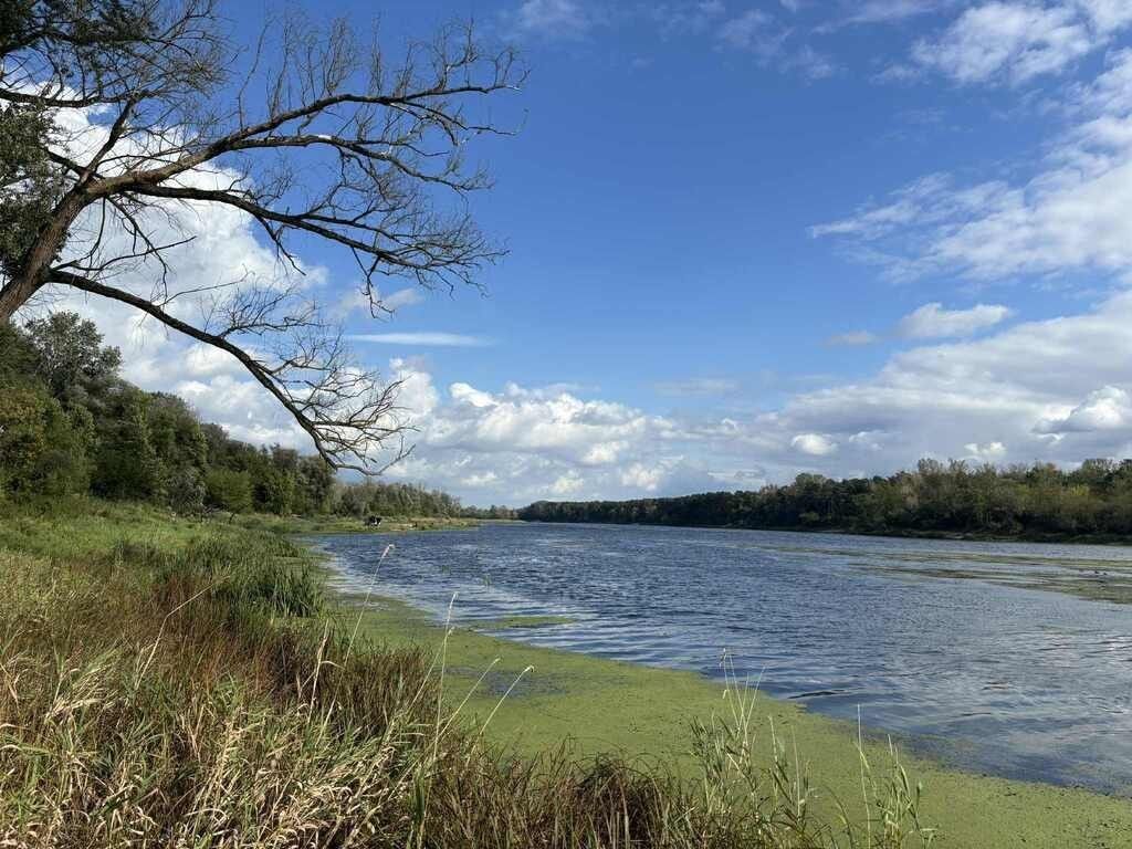 Dom 3 pokojowe na Sprzedaż