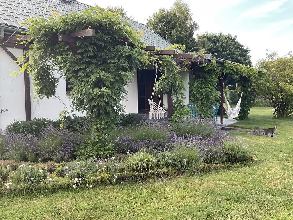 Dom 4 pokojowe na Sprzedaż