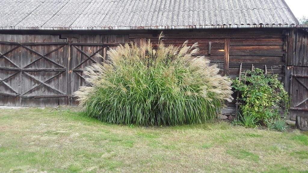 Dom 4 pokojowe na Sprzedaż