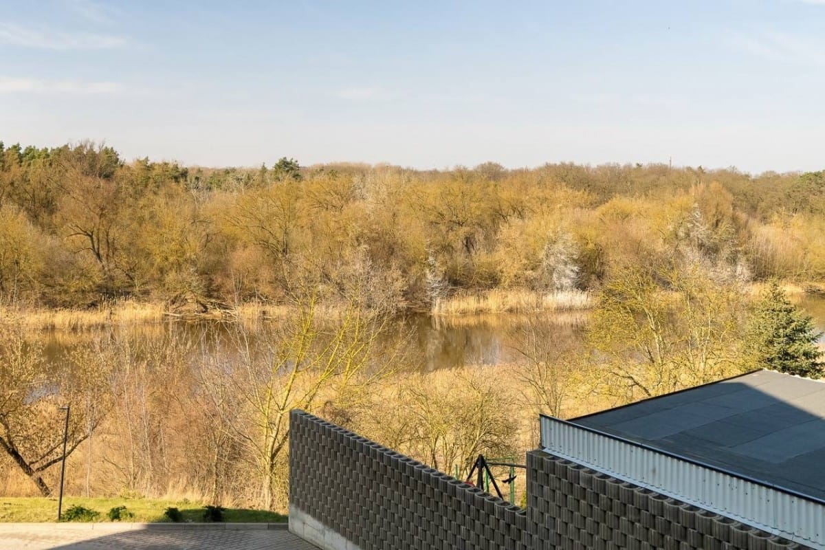 Mieszkanie 2 pokojowe na Wynajem