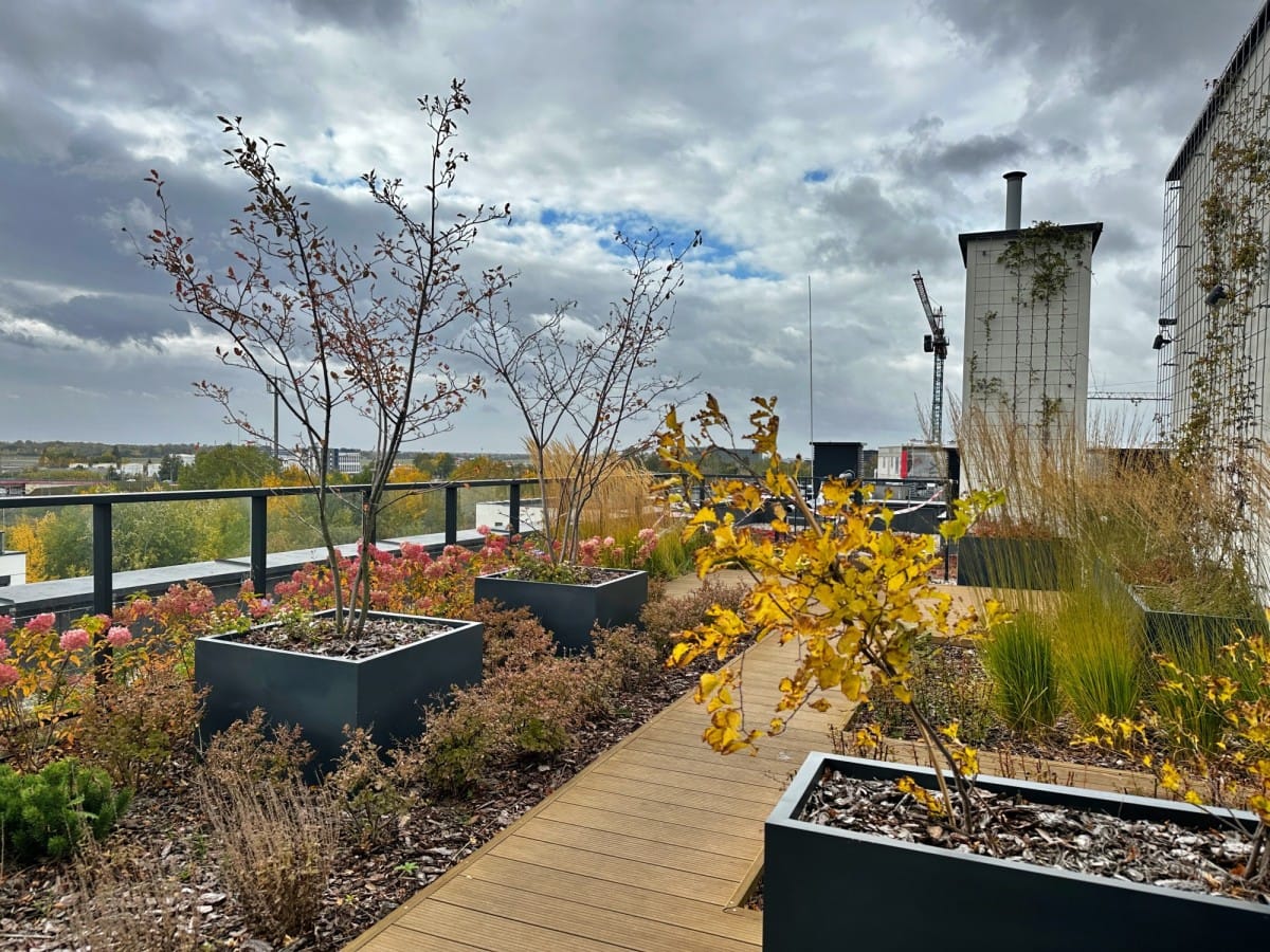 Mieszkanie 4 pokojowe na Sprzedaż