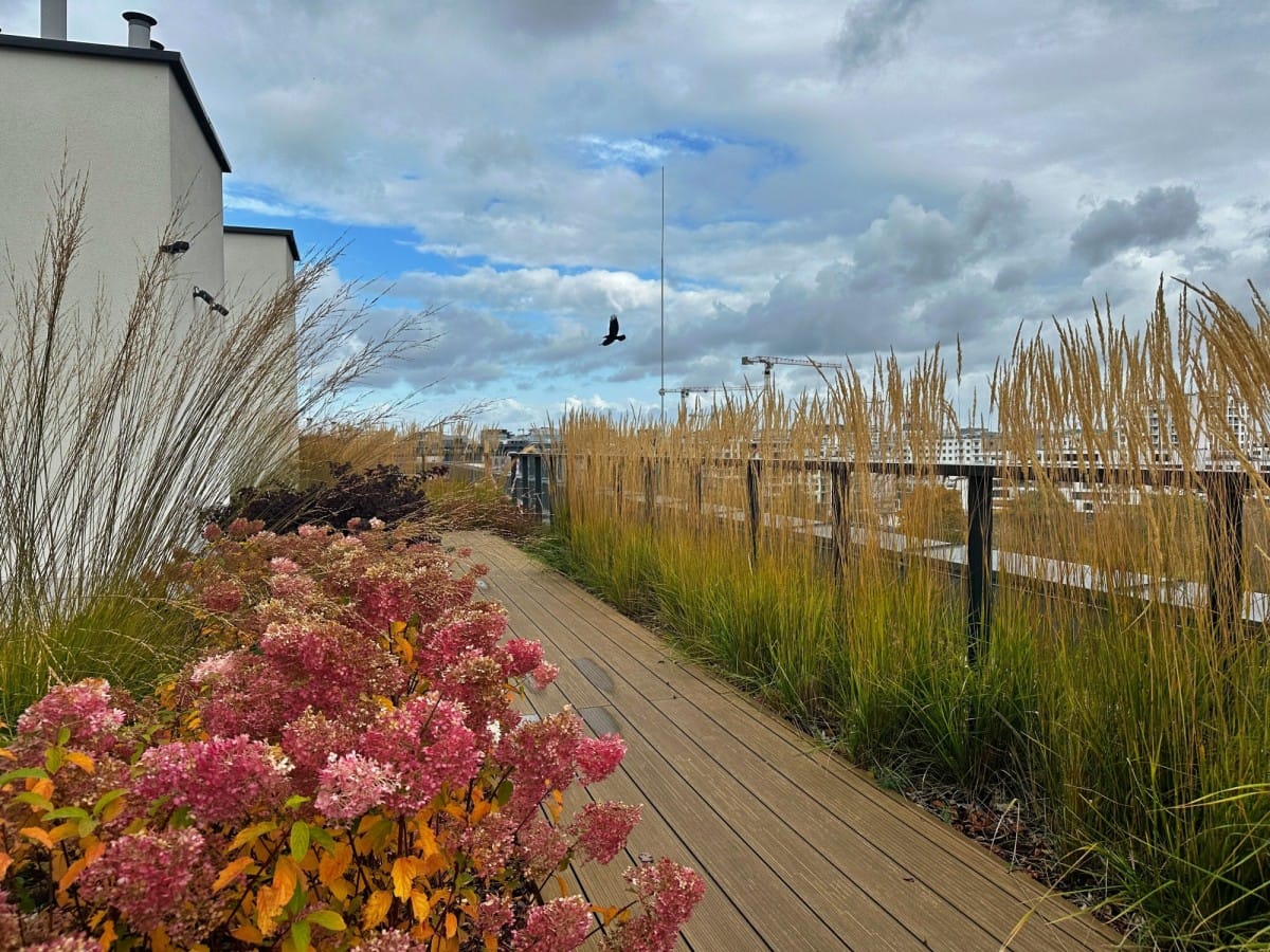 Mieszkanie 4 pokojowe na Sprzedaż