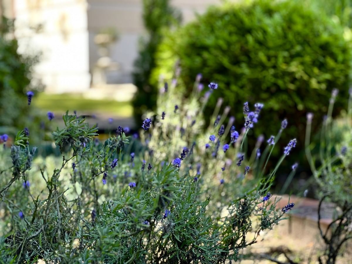 Dom 6 pokojowe na Sprzedaż