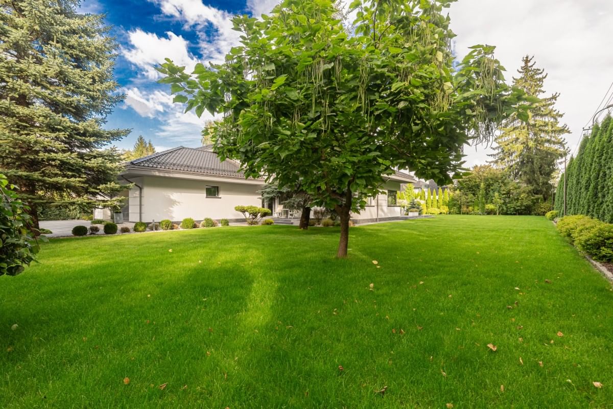 Dom 9 pokojowe na Sprzedaż