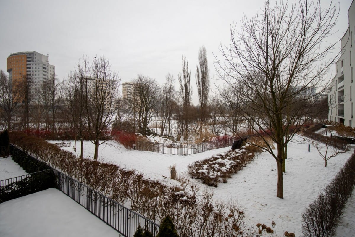 Mieszkanie 3 pokojowe na Wynajem