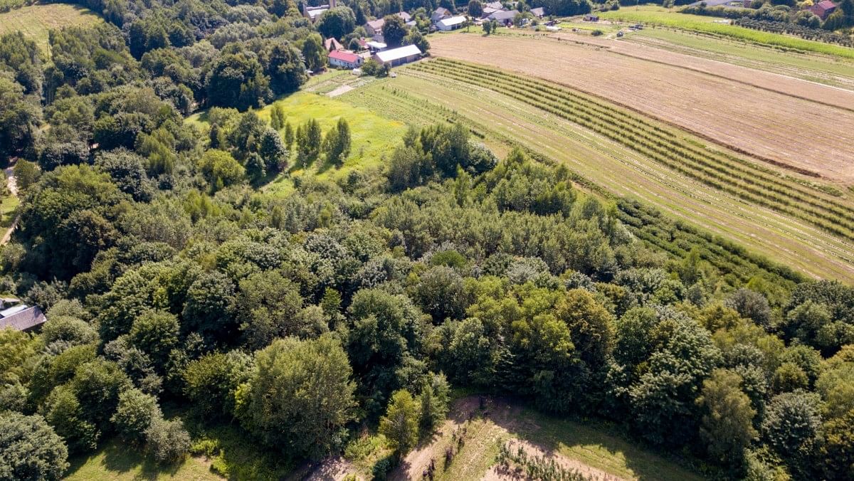 Działka  pokojowe na Sprzedaż