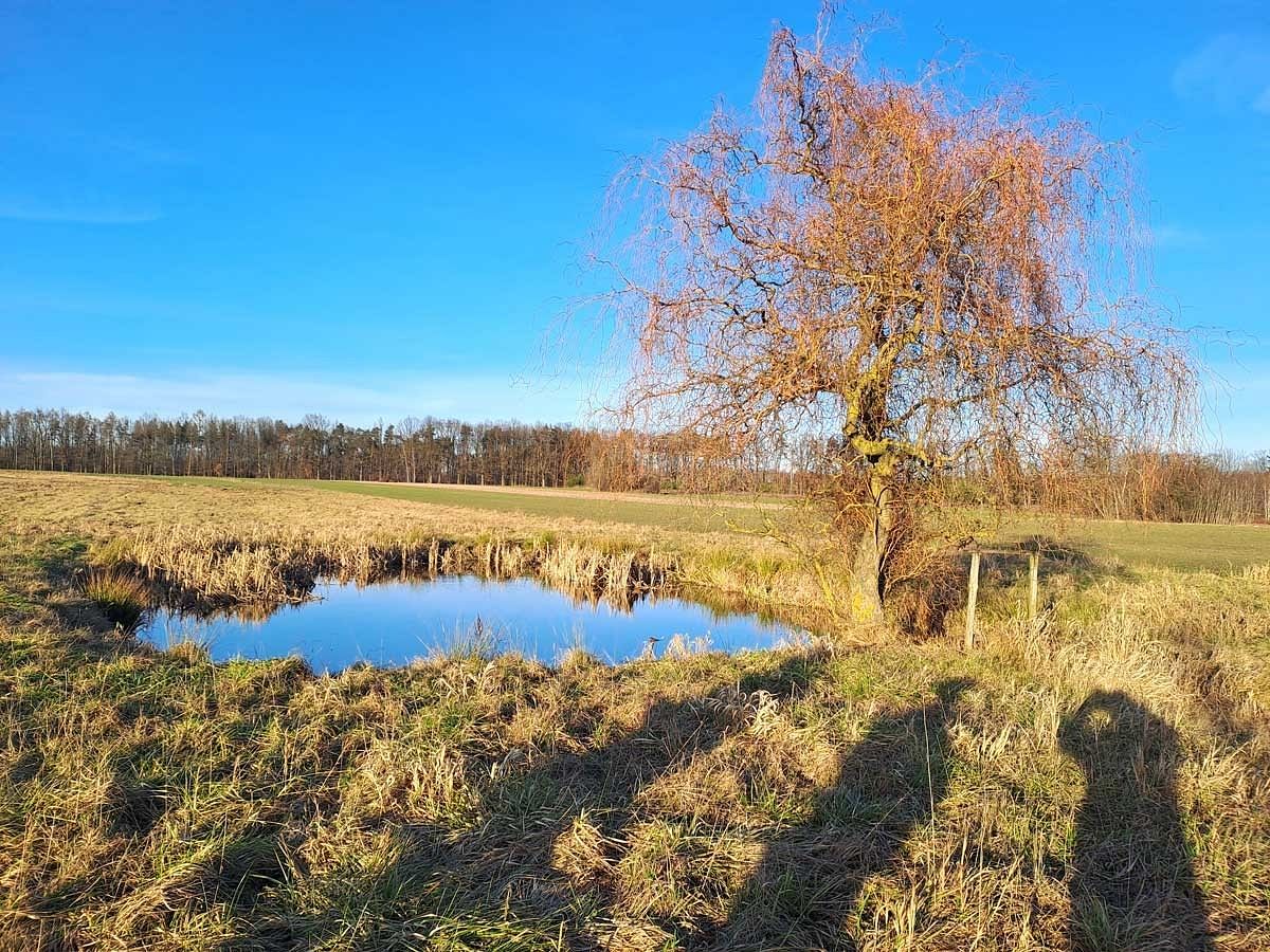 Dom 3 pokojowe na Sprzedaż