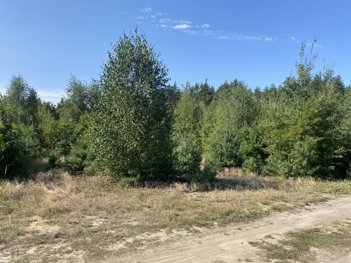 Działka  pokojowe na Sprzedaż