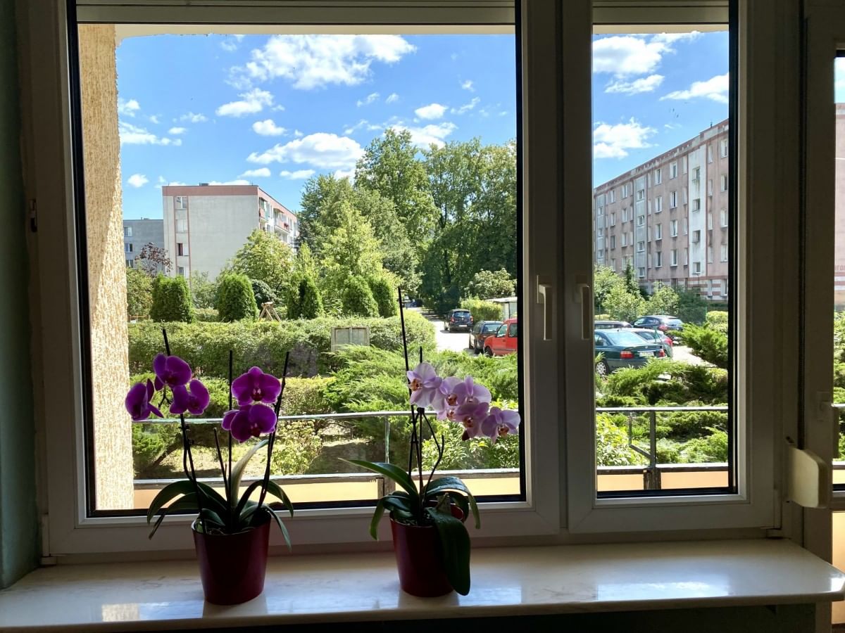 Mieszkanie 2 pokojowe na Wynajem