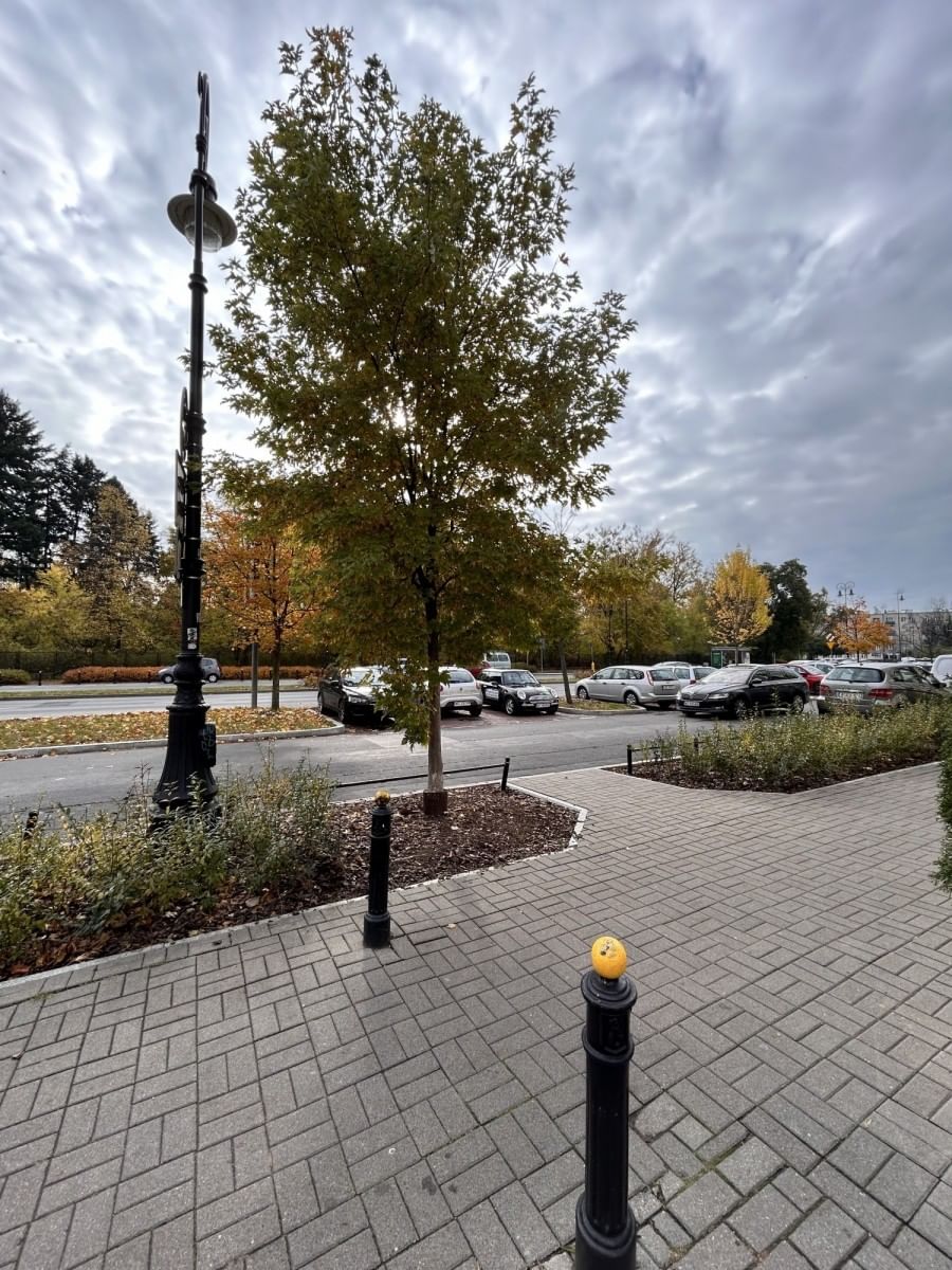 Mieszkanie 1 pokojowe na Sprzedaż