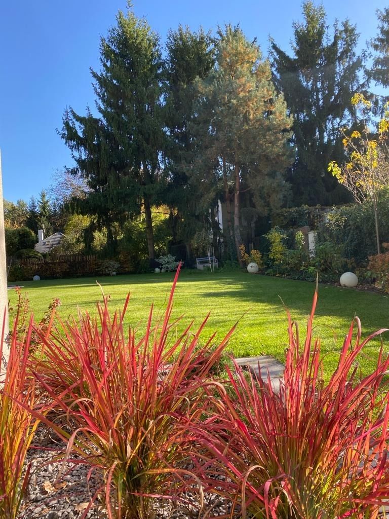 Dom 8 pokojowe na Wynajem