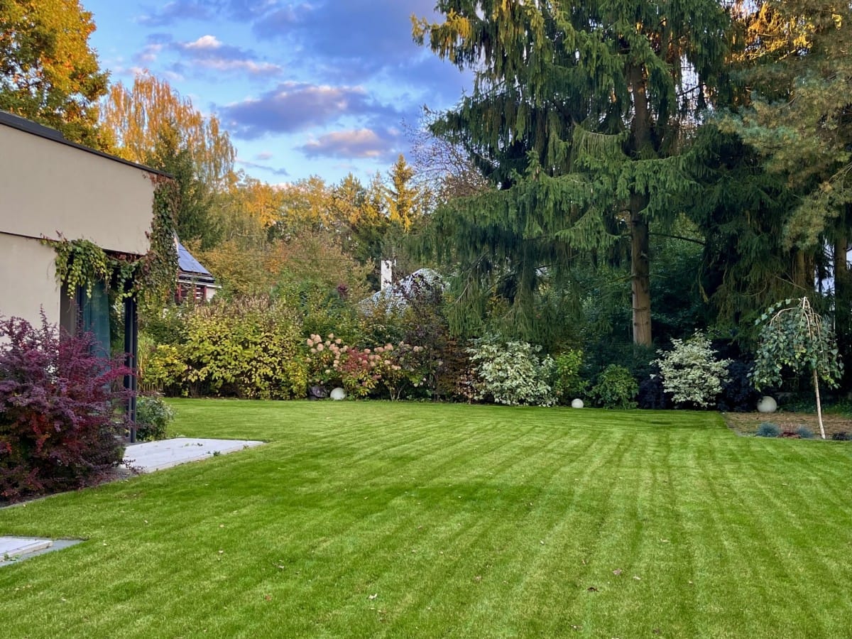 Dom 8 pokojowe na Wynajem