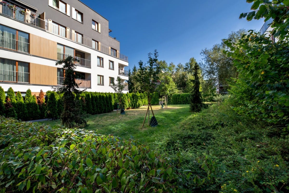 Mieszkanie 2 pokojowe na Wynajem