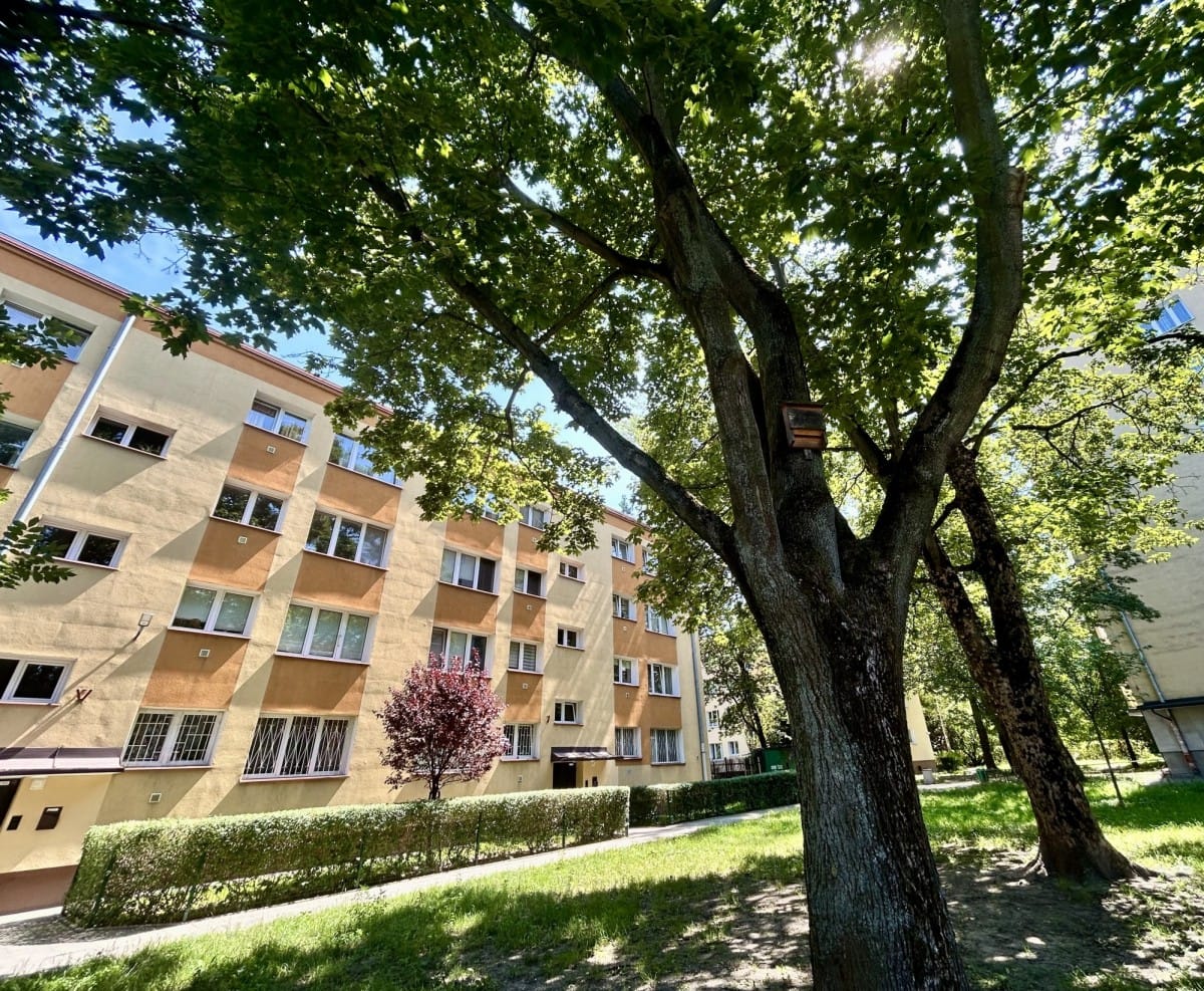 Mieszkanie 3 pokojowe na Sprzedaż