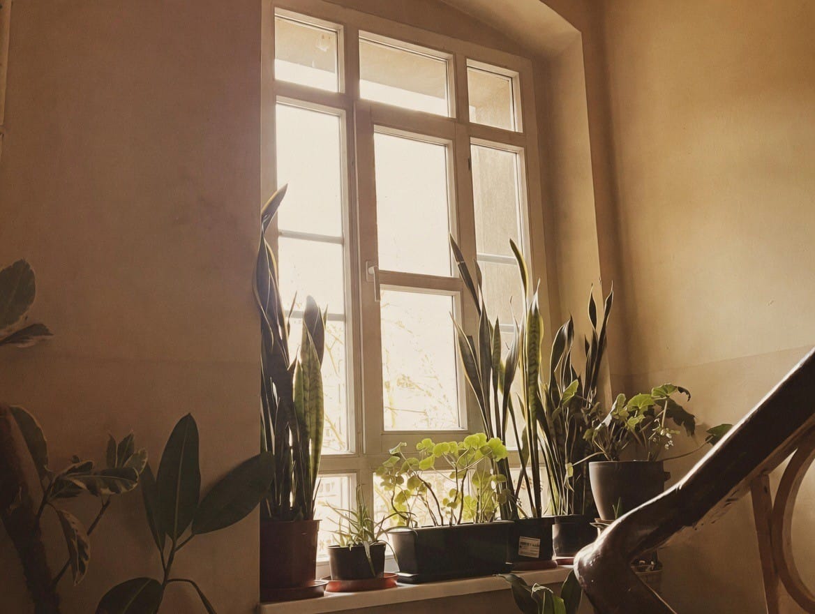 Mieszkanie 5 pokojowe na Sprzedaż