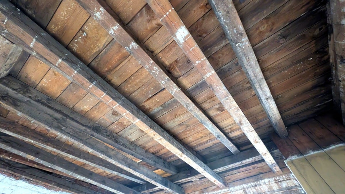 Mieszkanie 4 pokojowe na Sprzedaż