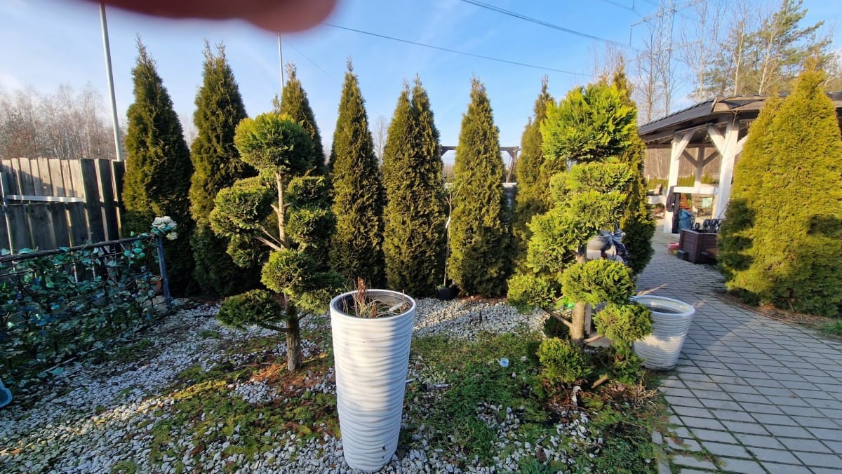 Dom 7 pokojowe na Sprzedaż