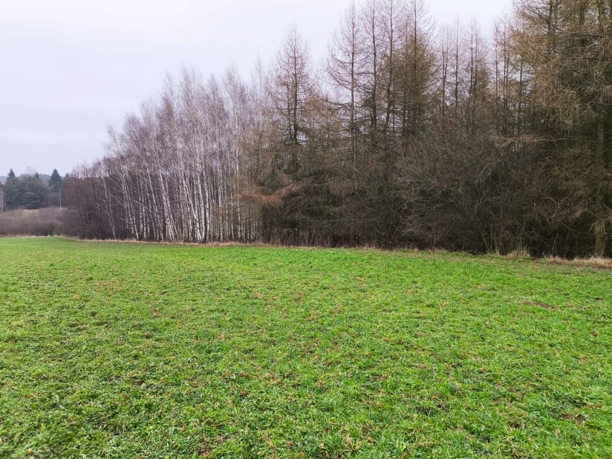 Działka  pokojowe na Sprzedaż