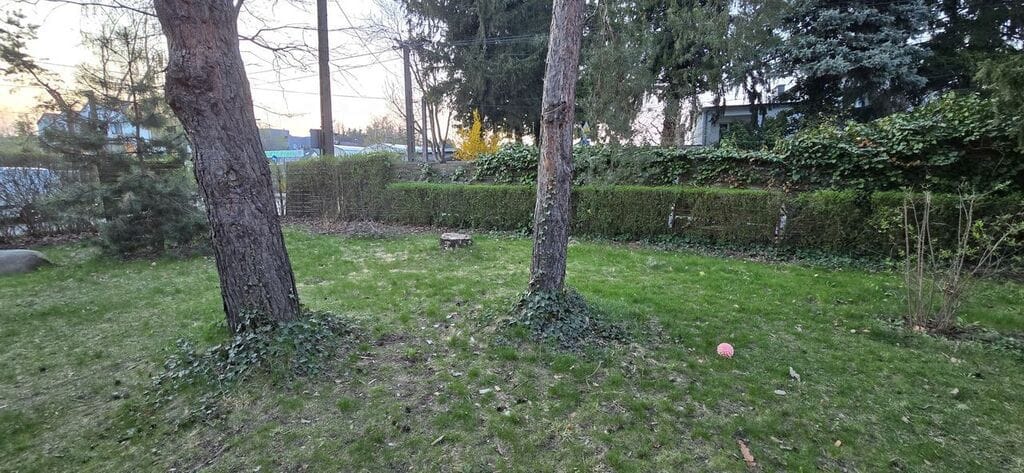 Dom 5 pokojowe na Sprzedaż