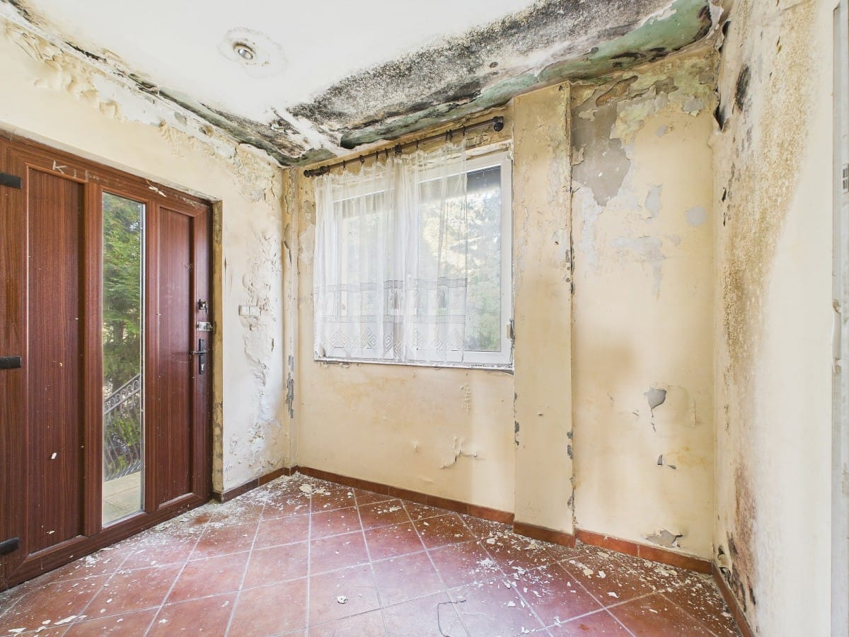 Dom 7 pokojowe na Sprzedaż