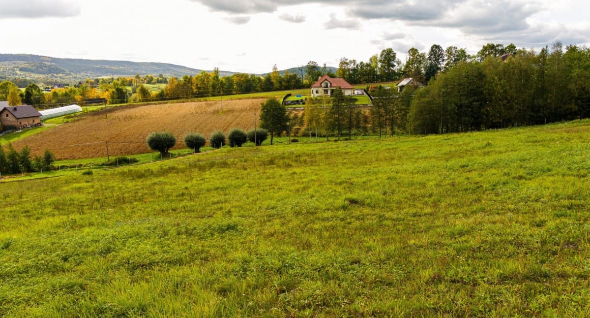 Działka  pokojowe na Sprzedaż