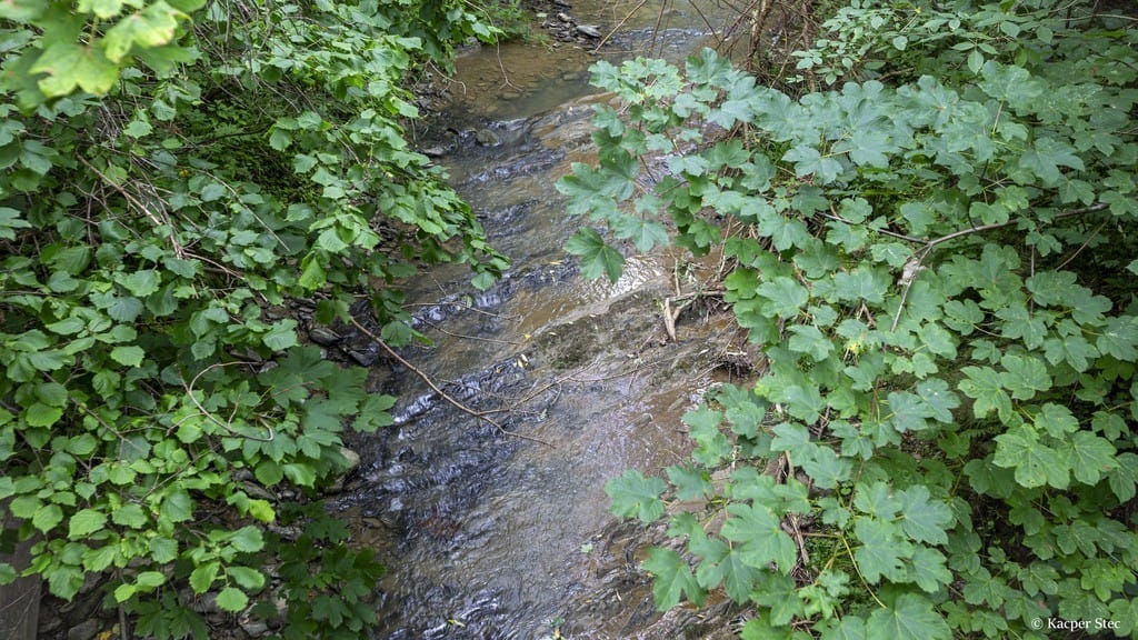 Dom 10 pokojowe na Sprzedaż