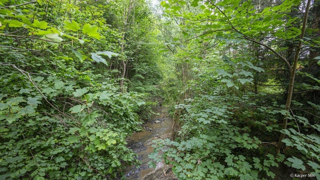 Dom 10 pokojowe na Sprzedaż