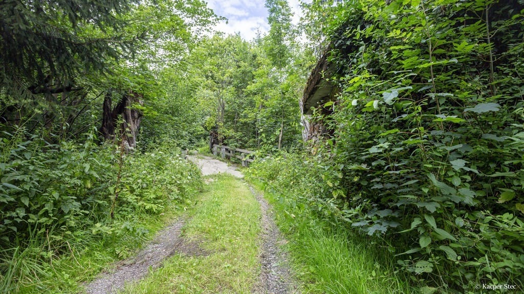 Dom 10 pokojowe na Sprzedaż