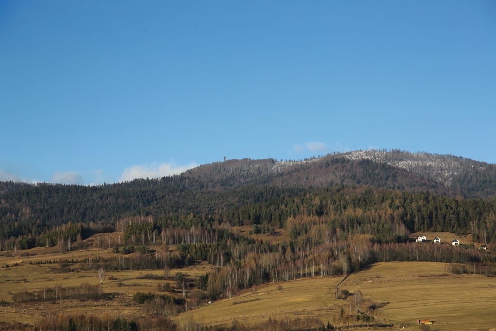 Dom 5 pokojowe na Sprzedaż