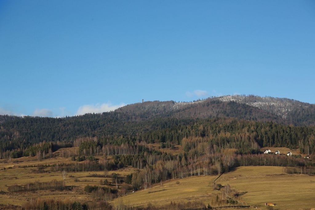 Dom 5 pokojowe na Sprzedaż