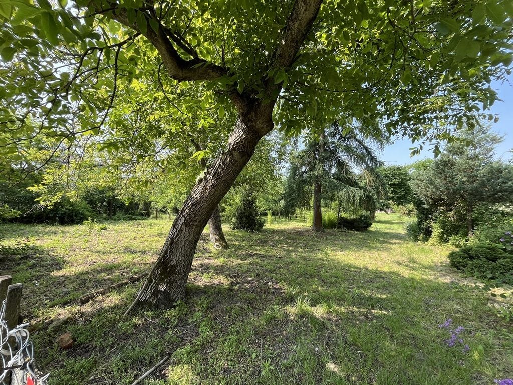 Dom 1 pokojowe na Sprzedaż