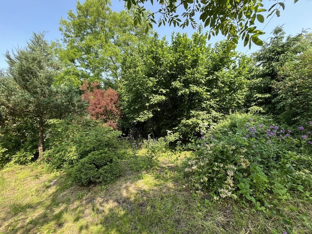 Dom 1 pokojowe na Sprzedaż