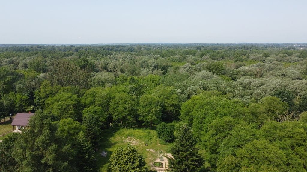 Dom 1 pokojowe na Sprzedaż