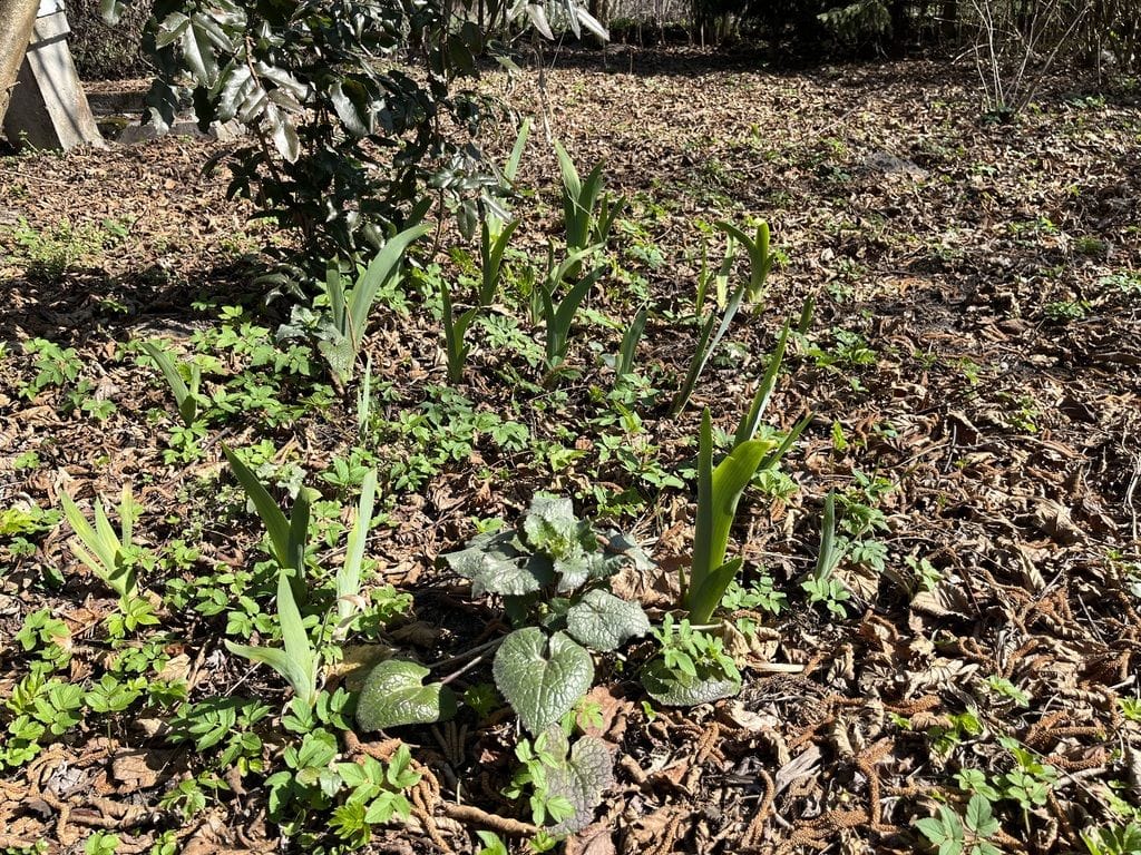 Dom 1 pokojowe na Sprzedaż