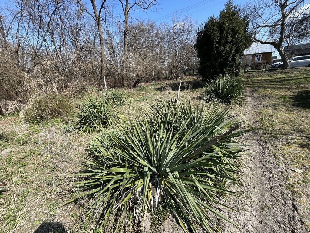 Dom 1 pokojowe na Sprzedaż
