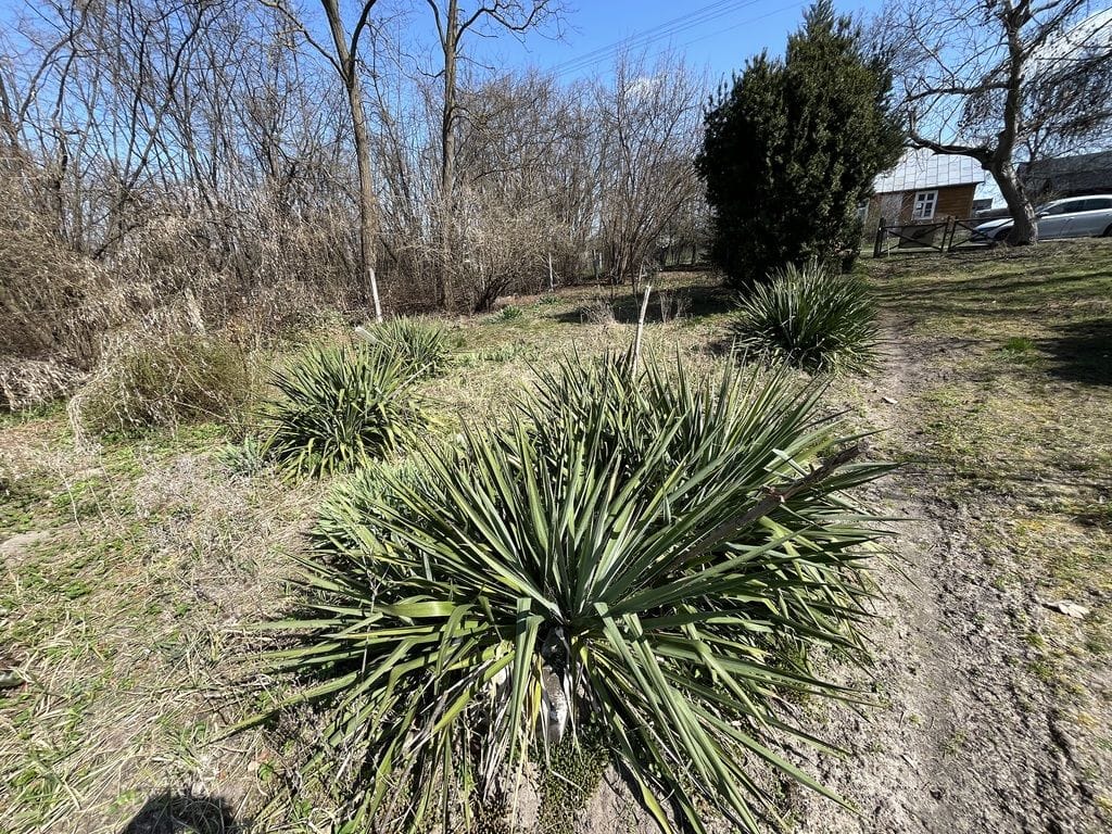 Dom 1 pokojowe na Sprzedaż