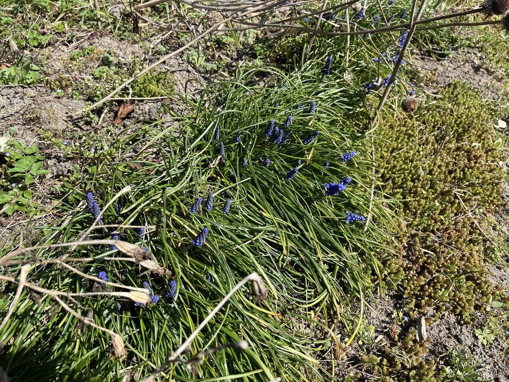Dom 1 pokojowe na Sprzedaż