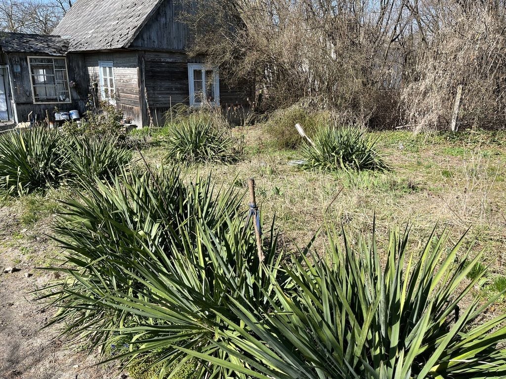 Dom 1 pokojowe na Sprzedaż