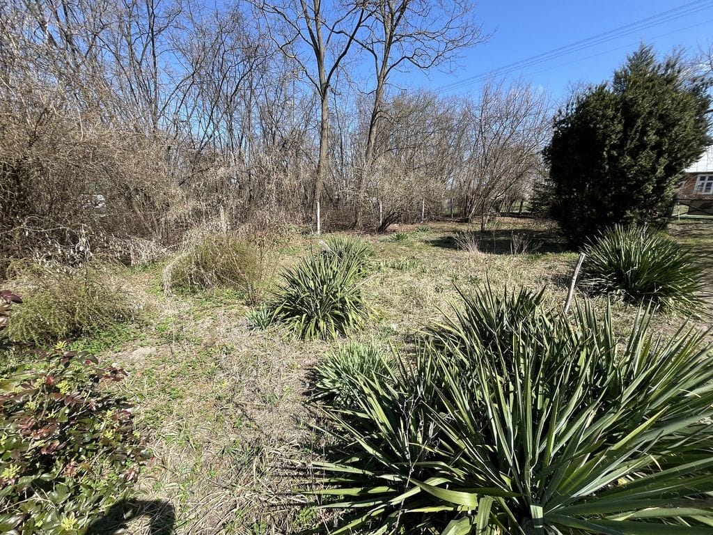 Dom 1 pokojowe na Sprzedaż