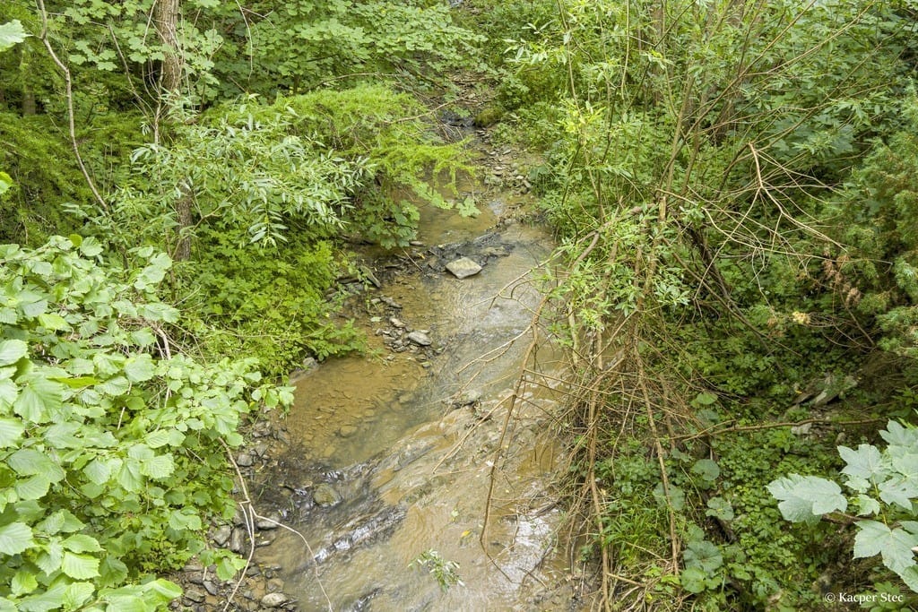 Dom 10 pokojowe na Sprzedaż