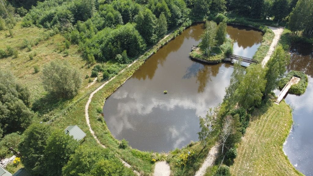 Dom 6 pokojowe na Sprzedaż