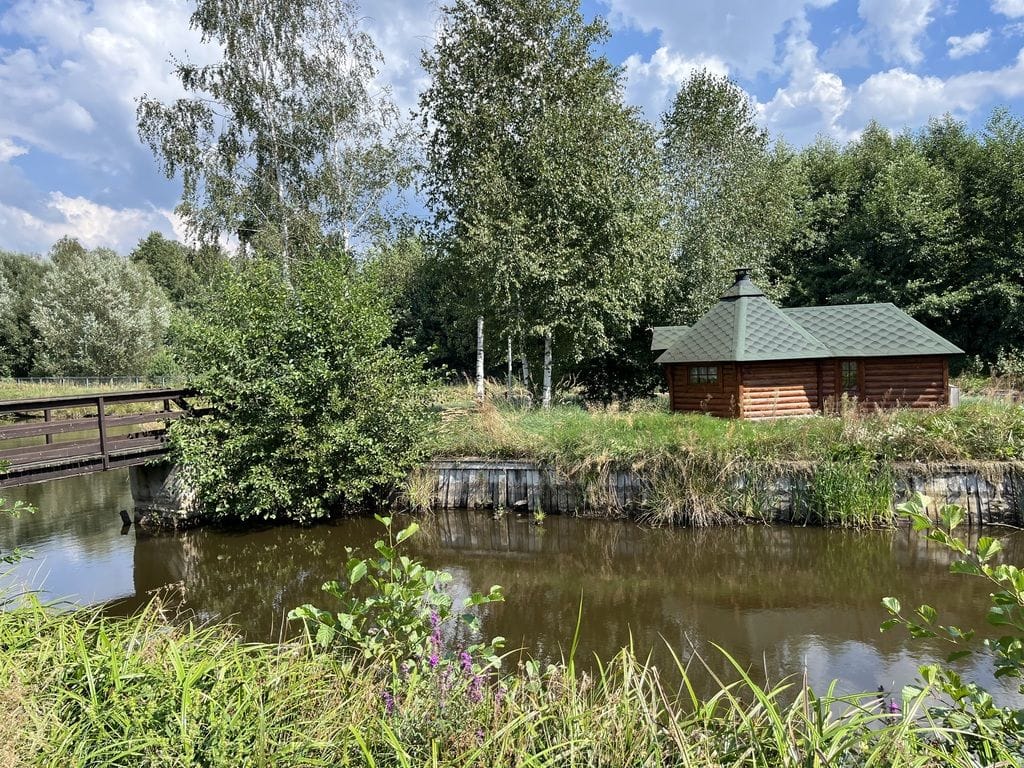 Dom 6 pokojowe na Sprzedaż