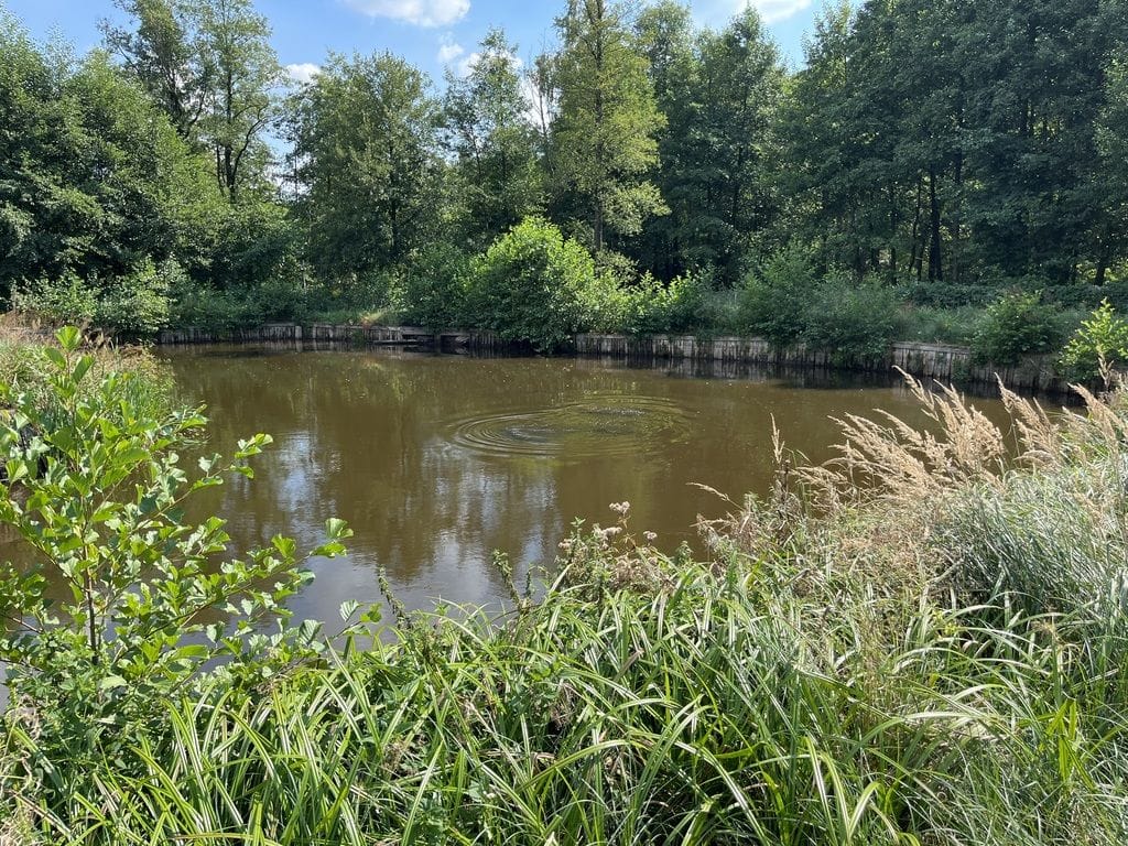 Dom 6 pokojowe na Sprzedaż