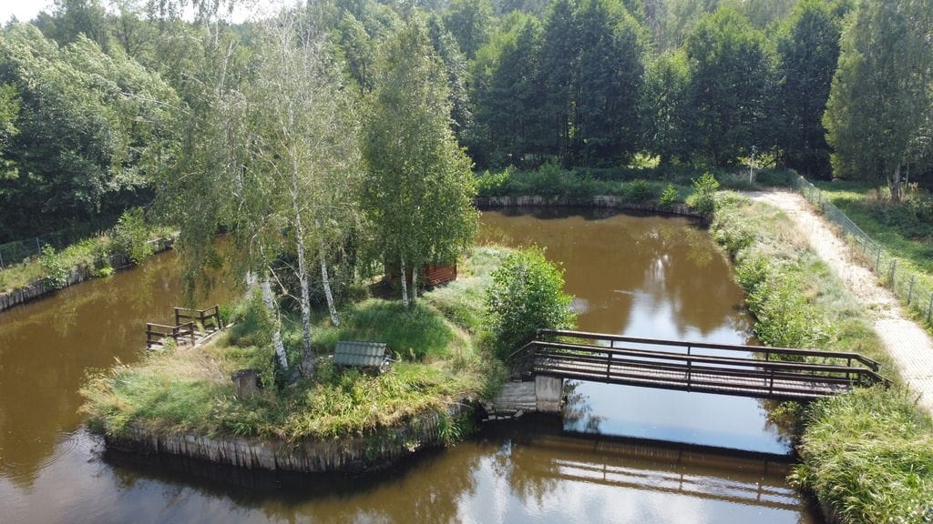 Dom 6 pokojowe na Sprzedaż